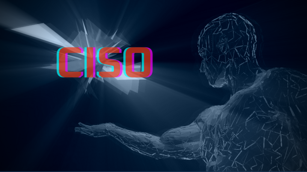 Interim/Virtual CISO Services
