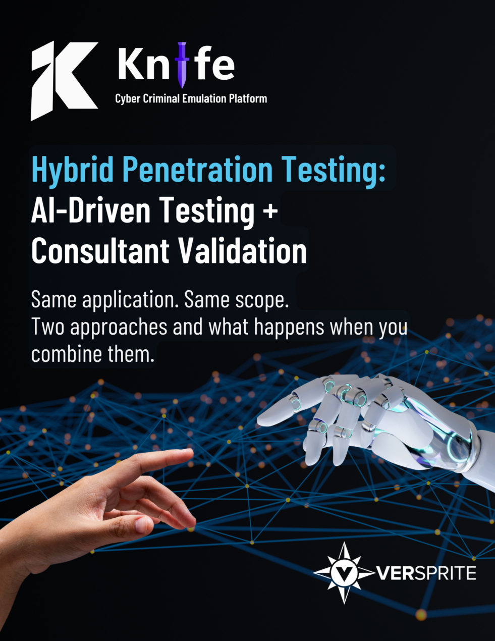 Hybrid Penetration Testing Case Study